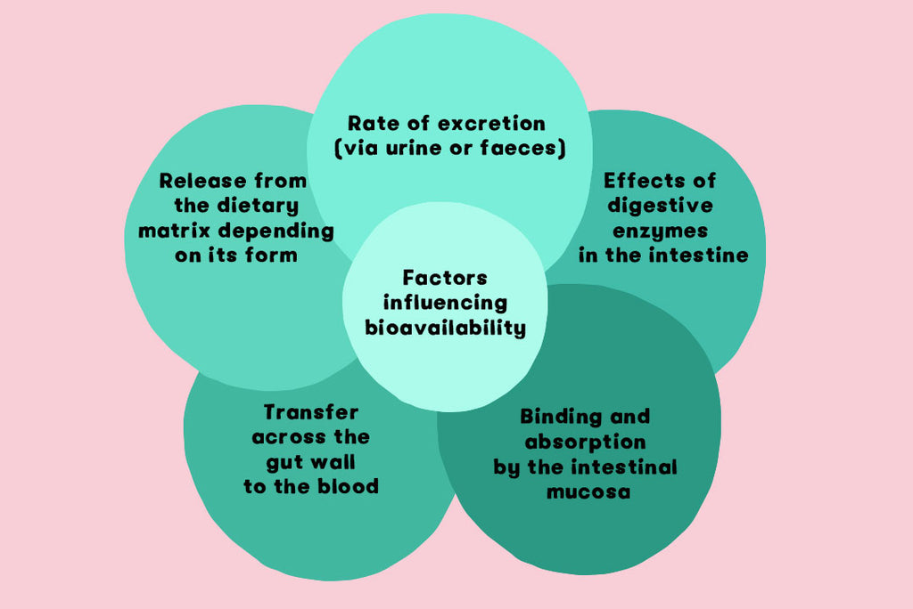 factors of bioavailability
