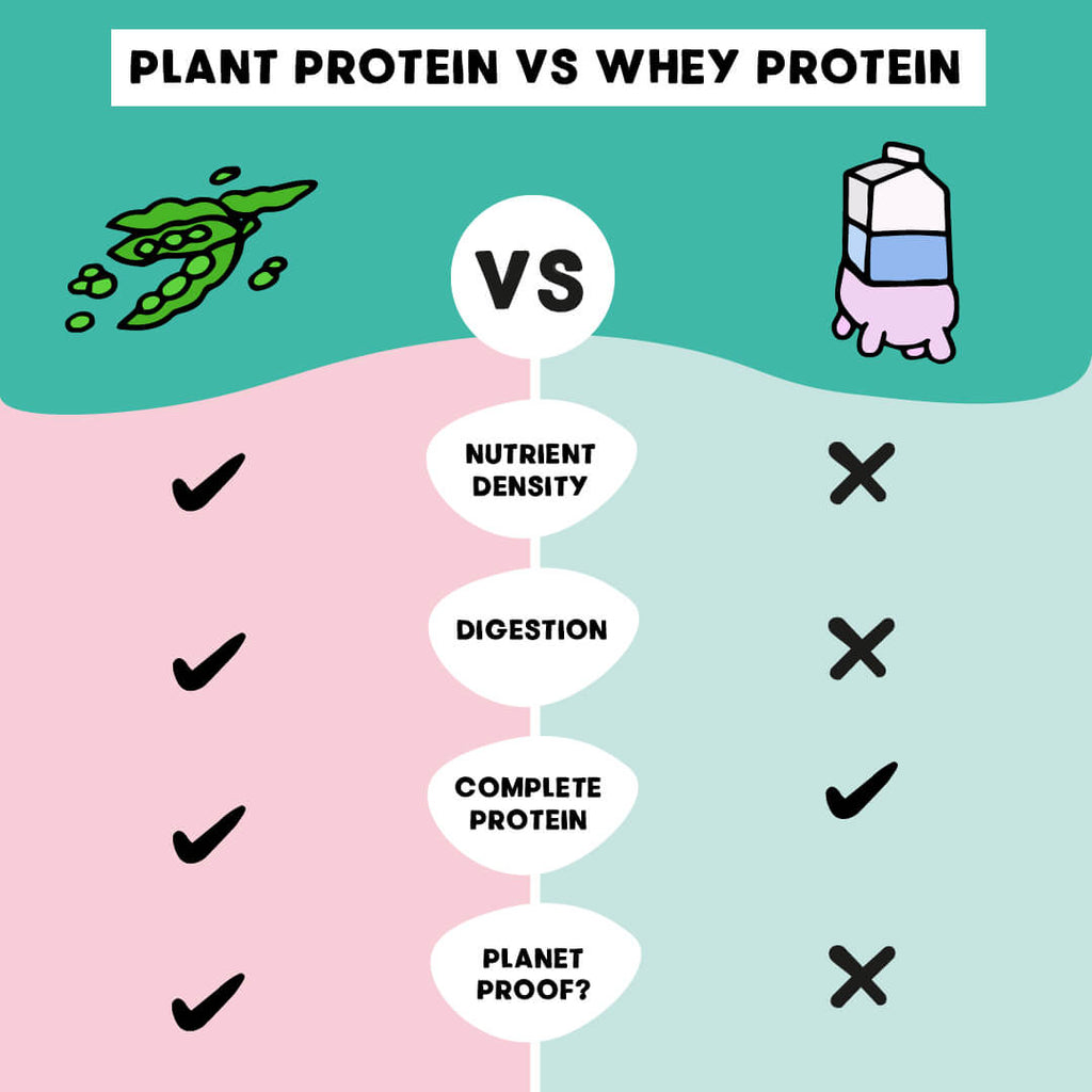 Plant Protein vs Whey Protein